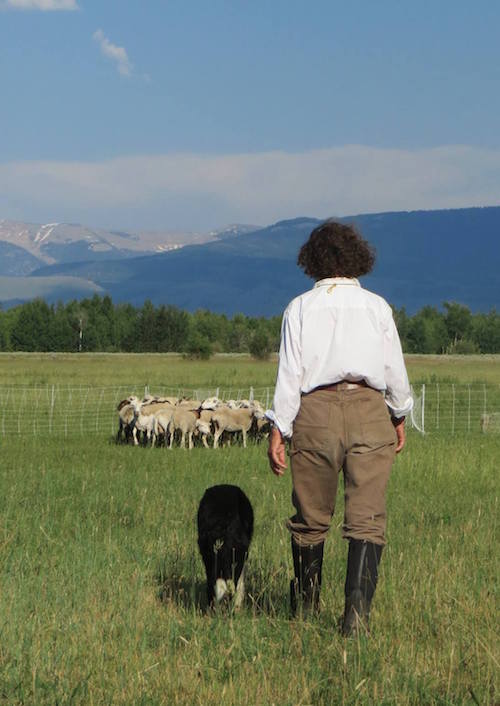 A woman in riding boots and trousers stands next to a dog with her back to the camera. They face a flock of sheep and the Wyoming mountainside.